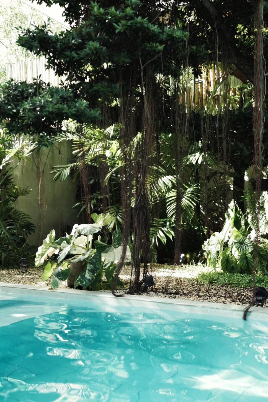 Banyan Villa Panglao With Private Pool Εξωτερικό φωτογραφία